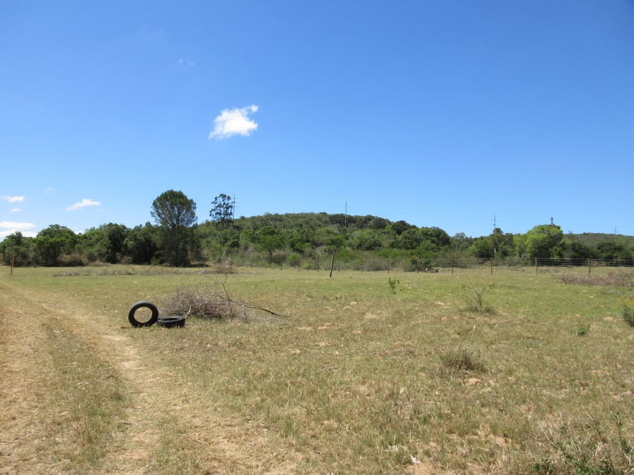 0 Bedroom Property for Sale in Bathurst Eastern Cape